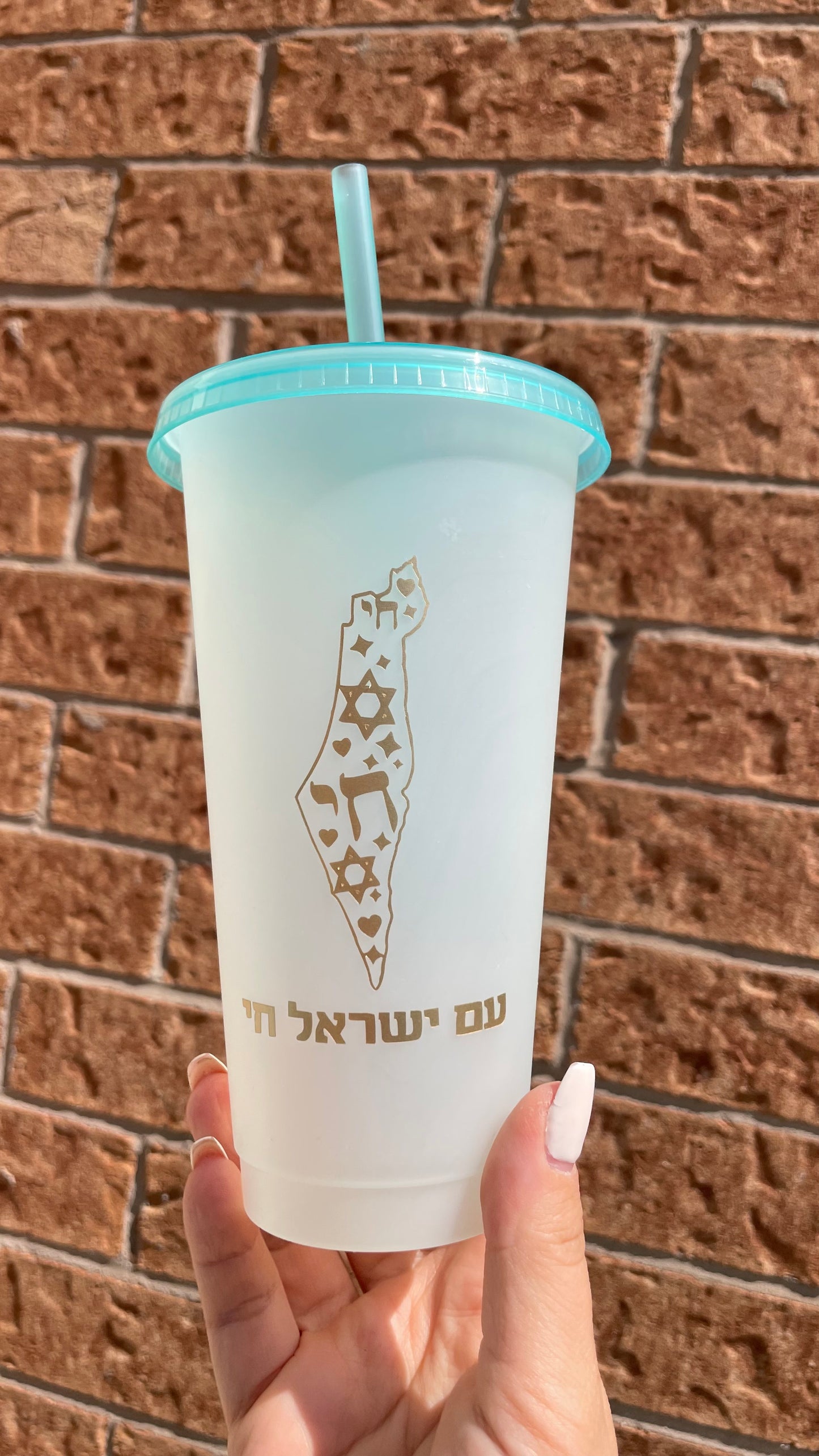 Am Yisrael Chai Tumbler | Israel Map Cup | Hebrew Travel Mug | Frosted Reusable Cold Cup