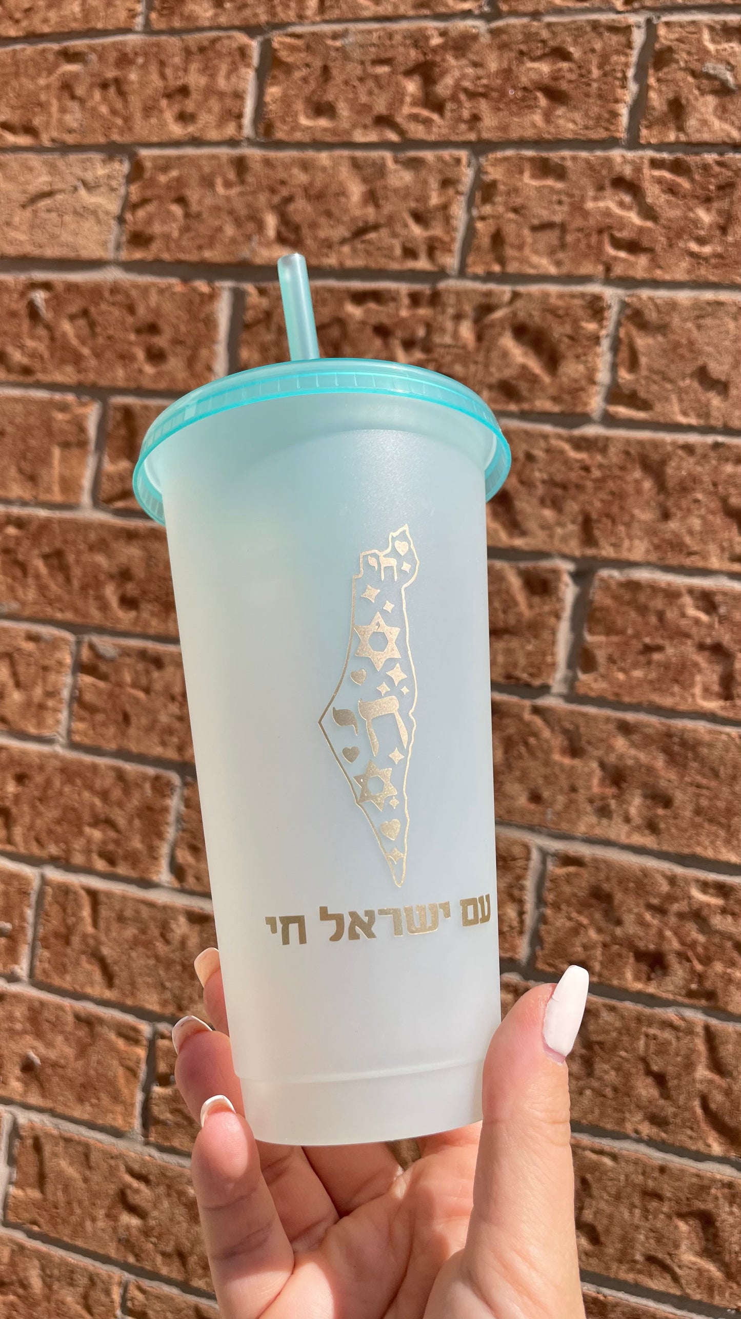 Am Yisrael Chai Tumbler | Israel Map Cup | Hebrew Travel Mug | Frosted Reusable Cold Cup