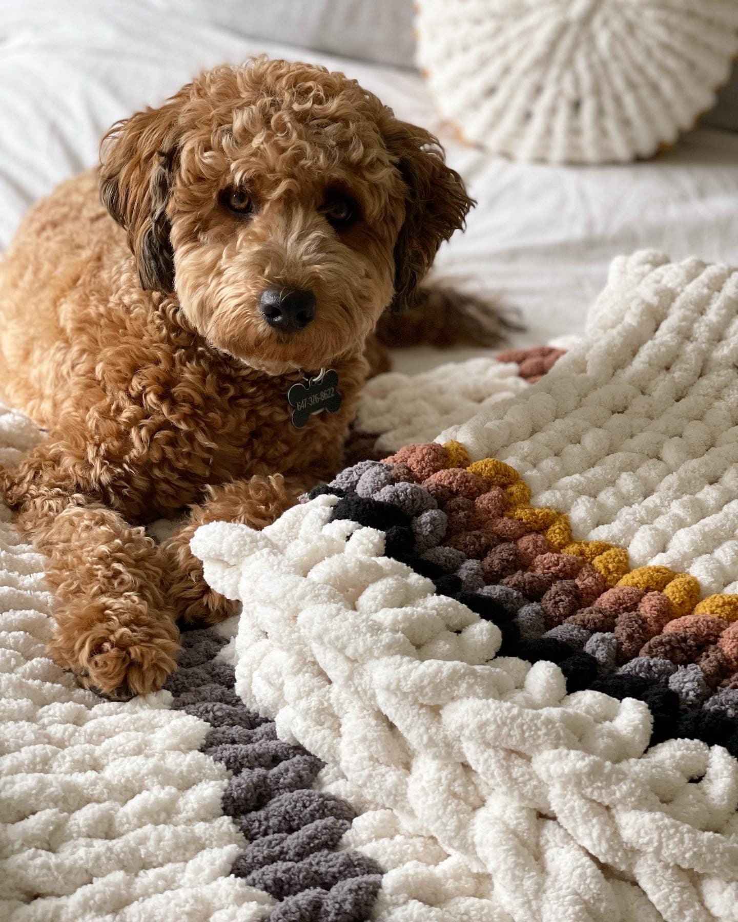 Hand Knit Chunky Throw Blanket: Cozy Polyester Blanket (40x60)
