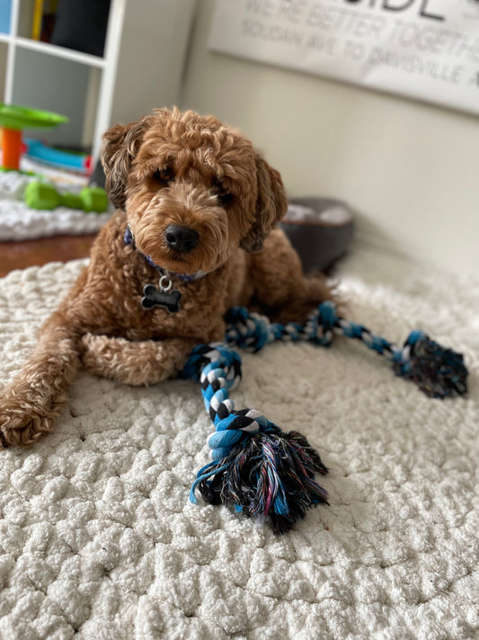 Circle Rug , Pet Bed